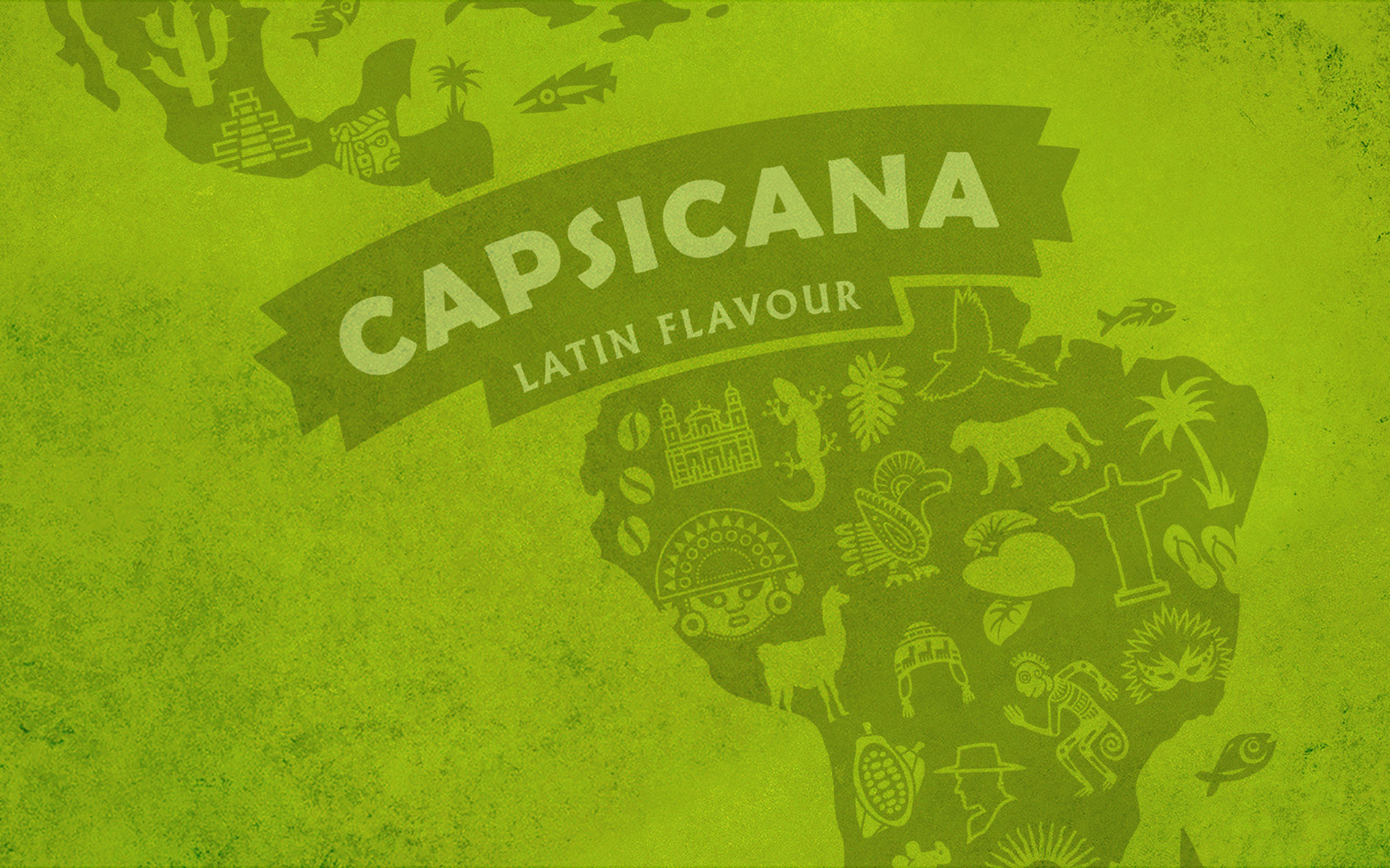 Capsicana Latin American Cook Sauces illustration- Rylands Brand Design