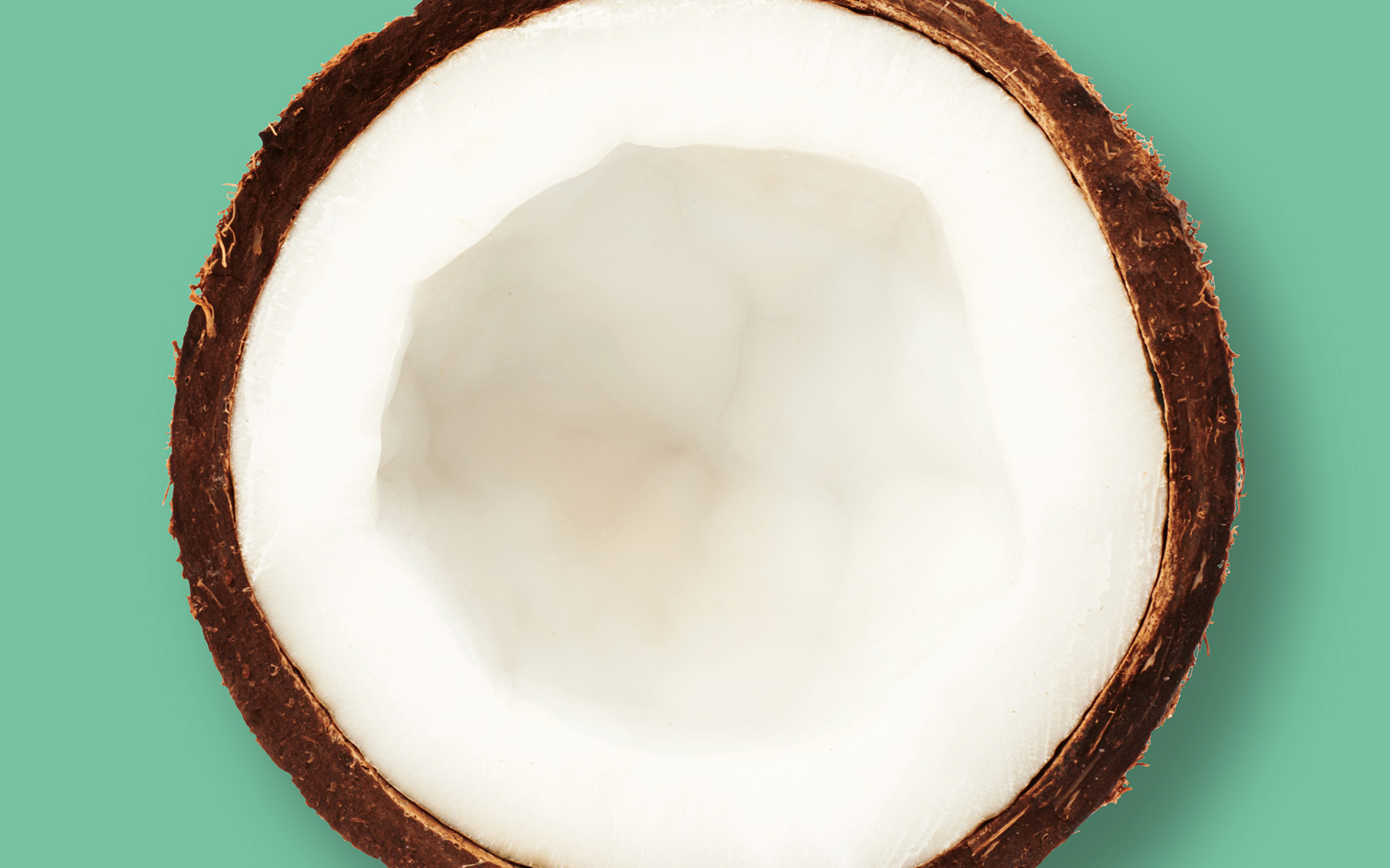 GOCO crunchy coconut bites illustration - Rylands Brand Design